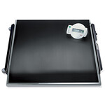 Seca 675, Ψηφιακός Ζυγός Πλατφόρμα (Class III)