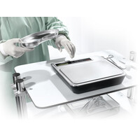 Seca 856, Ψηφιακός Ζυγός Ζύγισης Οργάνων