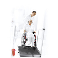 Seca 677, Ψηφιακός Ζυγός Πλατφόρμα (Class III) με RS232