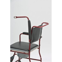 Αμαξίδιο μπάνιου mod.AC-32 Μπορντώ