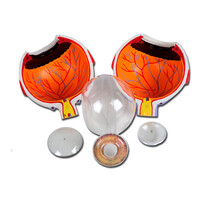 Πρόπλασμα Οφθαλμού