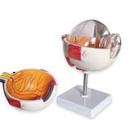 Πρόπλασμα Οφθαλμού