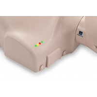 Πρόπλασμα Ενήλικα για BLS/AED Prestan Adult