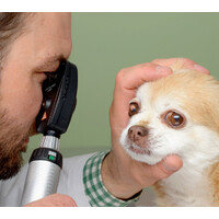 Κτηνιατρικό Σετ  Σχισμοειδούς Λυχνίας Heine G100 LED & Οφθαλμοσκοπίου Heine BETA 200 LED  | 2.5V