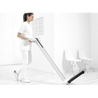 Seca 787, Ψηφιακός Ζυγός & Ψηφιακό Αναστημόμετρο