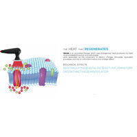 Συσκευή Χωρητικής & Αντιστατικής Διαθερμίας Tecar CR 200 i-Tech