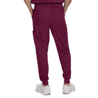Παντελόνι Ανδρικό Υγειονομικών LANDAU Proflex Jogger Wine