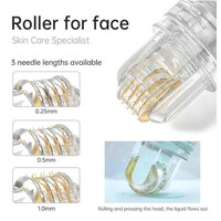 Συσκευή Μεσοθεραπείας Dr.Pen Hydraroller 64 | 0.25mm