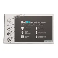Συσκευή Μεσοθεραπείας ICE Derma Roller DRS 6in1