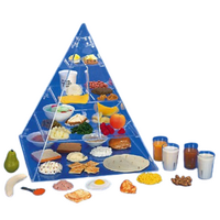 Τρισδιάστατη Πυραμίδα Διατροφής για Προπλάσματα Τροφίμων