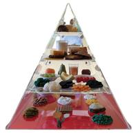 Τρισδιάστατη Πυραμίδα Διατροφής για Προπλάσματα Τροφίμων