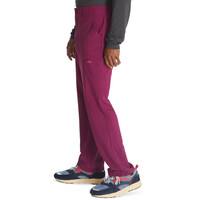 Ανδρικό Παντελόνι Dickies EDS Essentials | Wine