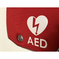 Τσάντα Μεταφοράς Απινιδωτή Rescue SAM