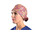 Σκουφάκι Χειρουργείου Unisex Gima "Funny Cap" Cashmere | Medium